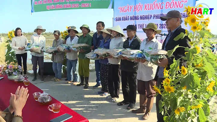 Ngy hi xung ng ln 2: Mong ma vng bi thu