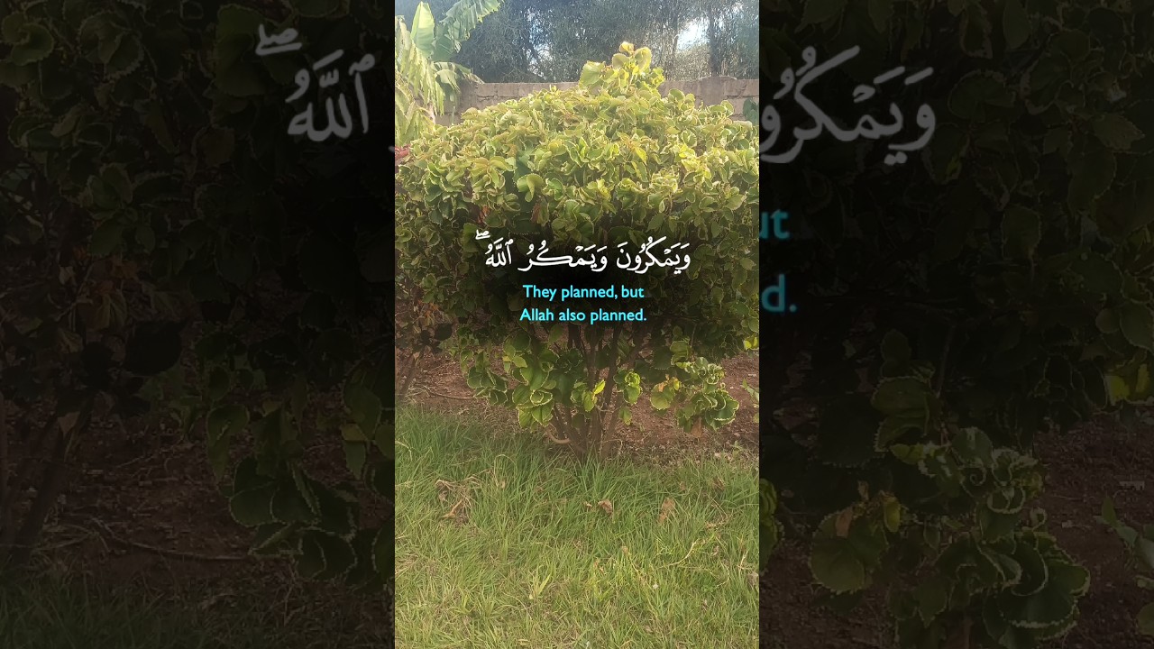 Allah Is The Best Of Planners 