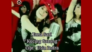 Erna Sari - Kucing Garong