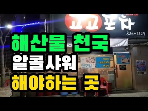 고고포차