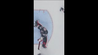 Shades Of Dominik Hasek 😱