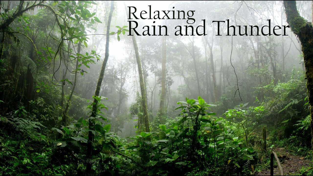 Rain & Thunder Ambience 10 Hours | Relax, Study, or Sleep