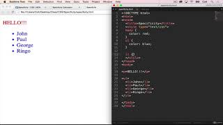 Complete Web Developer Bootcamp #25 | Specificity and the Cascade
