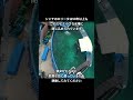 半世紀以上閉じ込められているシャチのロリータ【水族館】