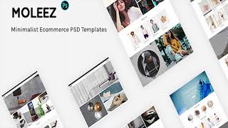 Moleez - Minimalist Ecommerce PSD Templates | Themeforest Website Templates and Themes
