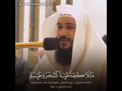 ألم تر كيف ضرب الله مثلا كلمة طيبة كشجرة طيبة أصلها ثابت وفرعها في السماء القارئ عبدالرحمن العوسي