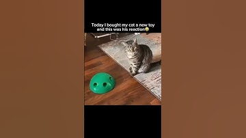 #aiemotion #aestheticvideo #aiexpress #aistyle #aistorycraft #aistudio #aiinfused #vb #aivideostyle