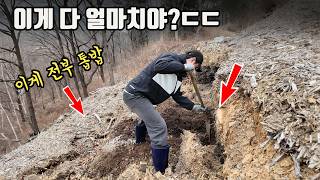 산속에 수백톤의 톱밥을 수년간 방치하면 이렇게 됩니다ㄷㄷ (ft.끔찍한생물 출현)