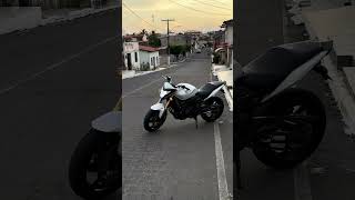 Hornet fim de tarde no interior 🌵❤️