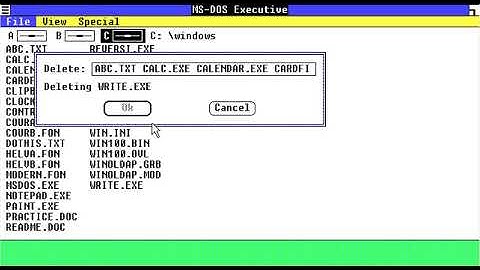 Windows 1.01 Destroyed