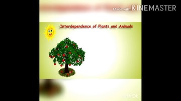 Class 5 science chapter 7 Interdependence of living beings plant
