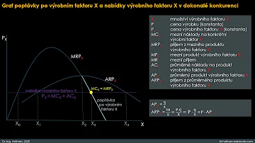 Co jsou zakladní pojmy Mikroekonomie?