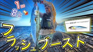 【ショアジギング】ありがとうフラッシュブースト!! 大型ヒラマサGET!!  SHIMANO ヘッドディップ　ロックショア