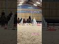 J’aime 😍 #horse #chevaux #equestrian #equitation #cat #cheval #cso #showjumping #jumping #drôle