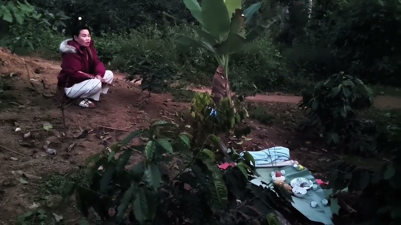 👽👽Lò phương đi làm tế phống ở Bản nòng ỏ mời quý vị đón xem ủng hộ đăng ký kênh nhé 