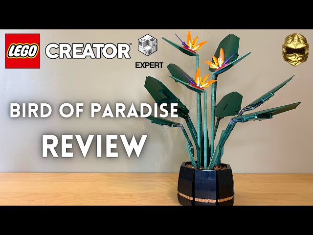 LEGO Creator Expert Bird of Paradise Review! Botanical Collection 10289 