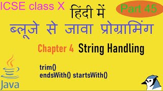 Java in Hindi Class X Ch4 part 10