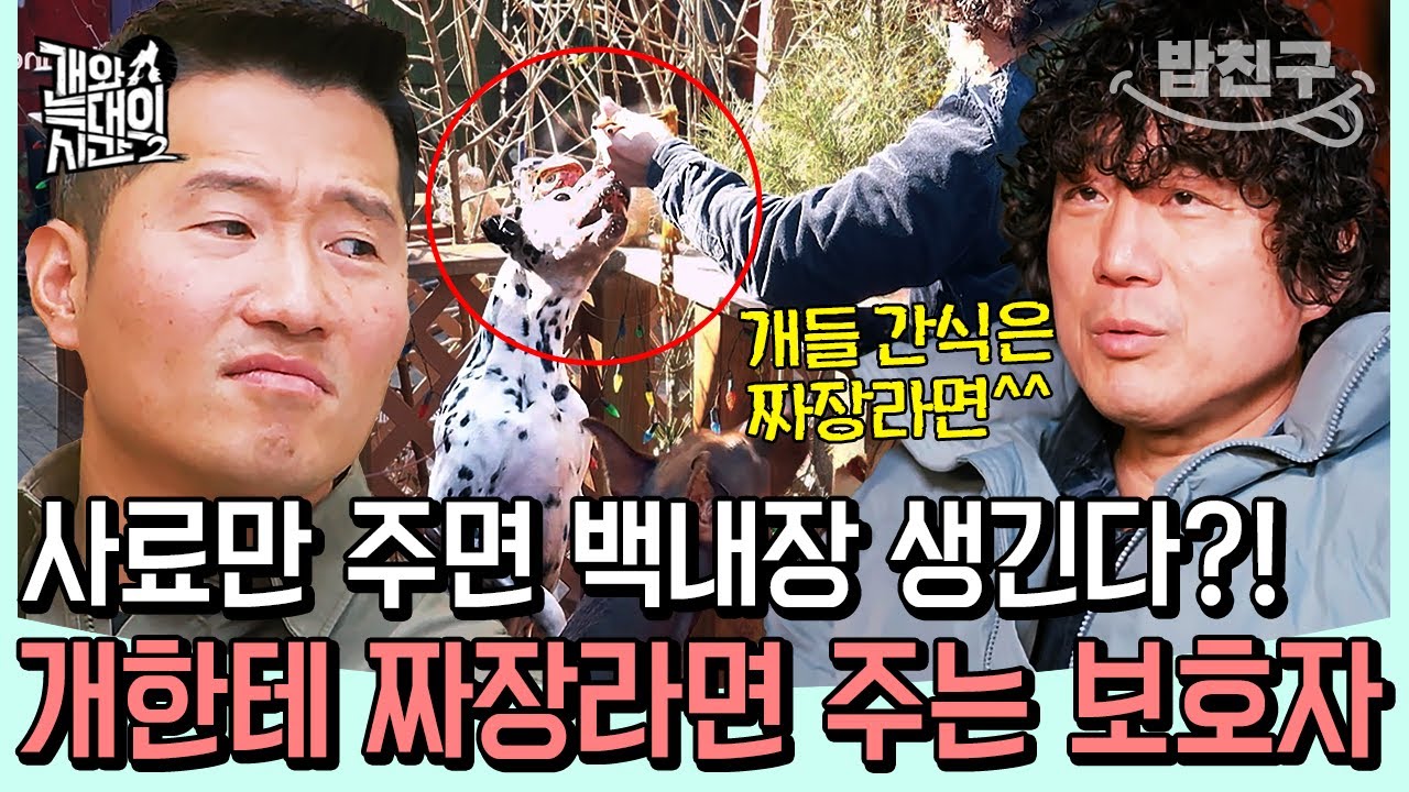 [#밥친구] 짜장라면을 안 먹으면 백내장이 생긴다는 보호자의 주장?! 강형욱이 지적한 위험한 반려견 식습관 | #개와늑대의시간2 5회