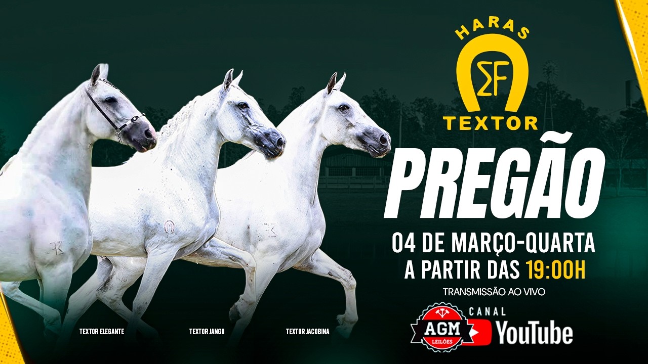 PREGÃO HARAS TEXTOR