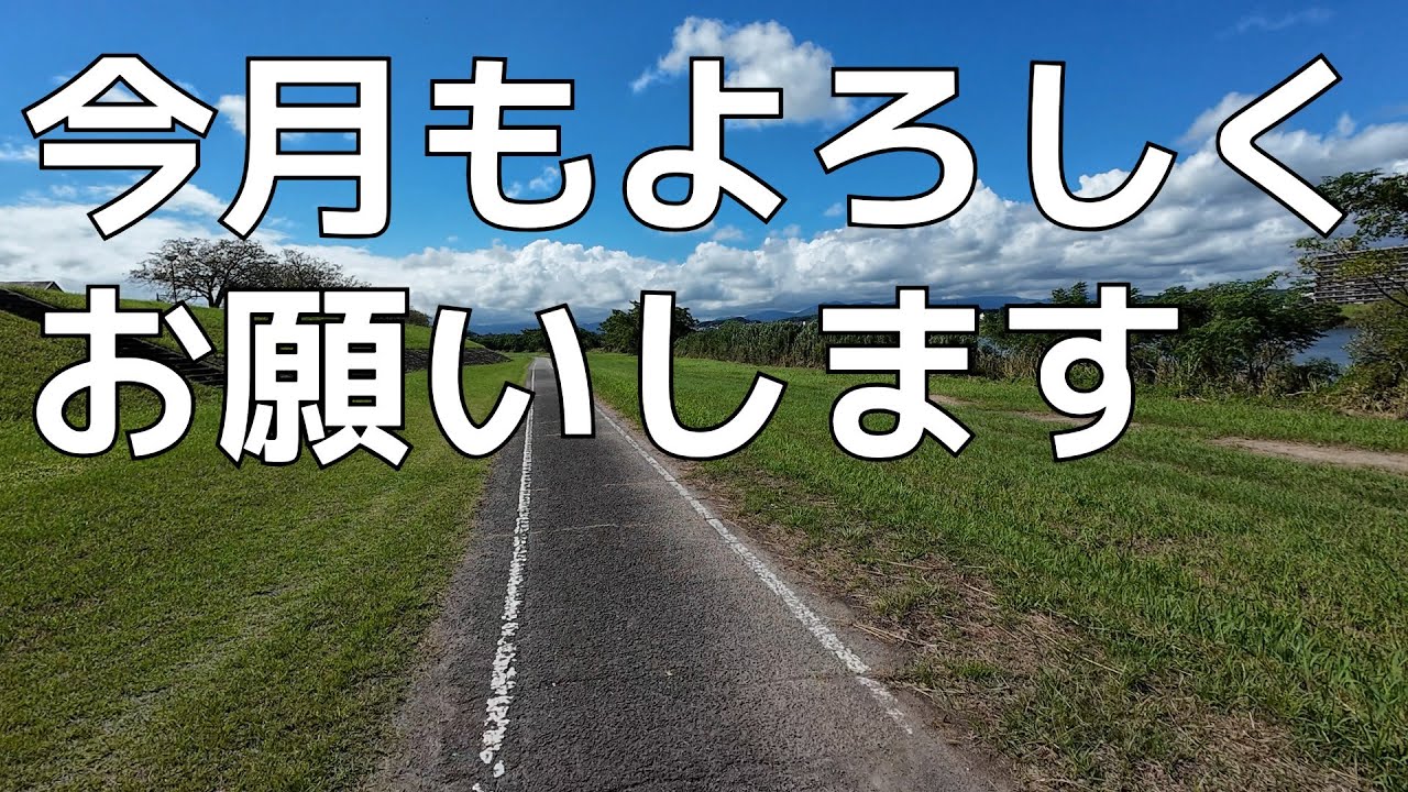 よろしくお願いします！ シャチハタ/オピニ/opini/お願いごとスタンプ/印面「よろしく