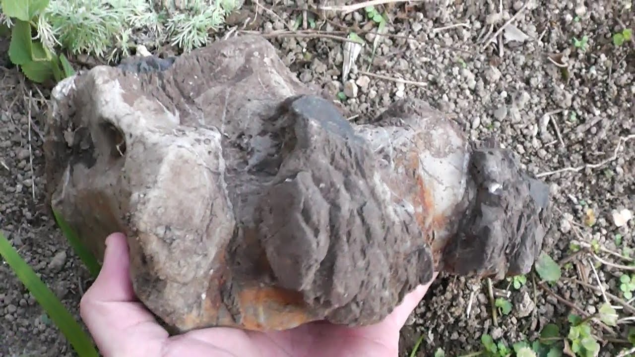 suiseki 三倉川 探石01　Mikura river01