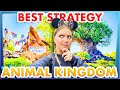 This is the best strategy to do everything in disney world  animal kingdom