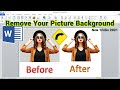 How to Remove Picture Background in Ms Word 2010 | MS Word Tutorial