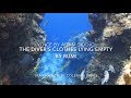 Rumi poem english  the divers clothes lying empty
