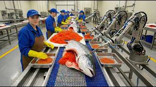 Inside A Salmon Hatchery, How Are Millions Of Salmon Born? The Full Process