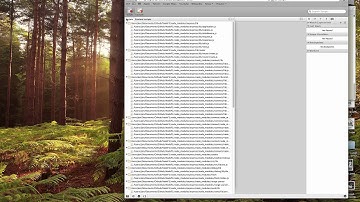 node.js and node-inspector not showing main program script