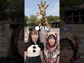 何問正解できた？#アイドル #メイドカフェ #クイズ #なんば #オタロード
