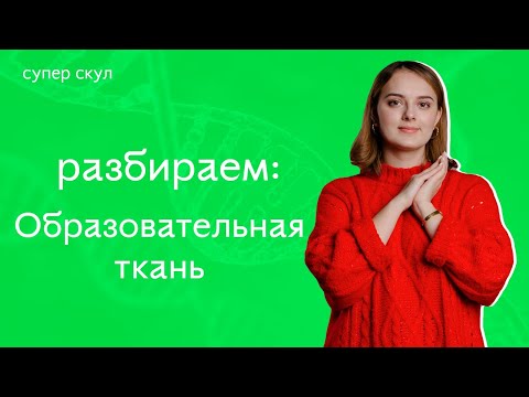 СУПЕР БИОЛОГИЯ - ОБРАЗОВАТЕЛЬНАЯ ТКАНЬ  - ЕГЭ 2021