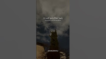 سورة الزخرف 🧡🍁 #سورة_الزخرف #ياسر_الدوسري #القرآن_الكريم #قرآن #fypシ #viral #quran #fyp #islam