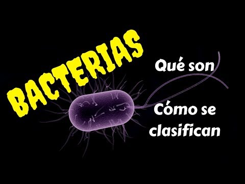 Video: Por Qué Las Bacterias Se Consideran Los Organismos Más Antiguos