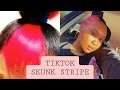 TIKTOK Skunk Stripe on My Natural Hair (Pink Edition).