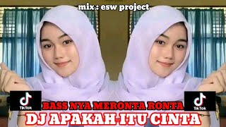 Download Lagu DJ APAKAH ITU CINTA FULL BASS JEDAG JEDUG || ESW PROJECT MP3