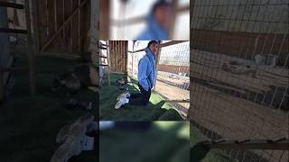 That Wasn't me #finatic #funny