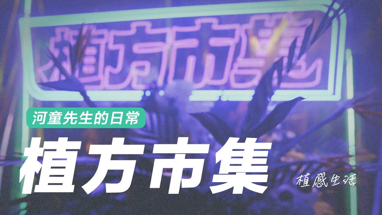 2023【植方市集】，知名的植物與文創市集，一起來看看開展前一天的預展會，園藝植物的潮流正在前往哪邊呢？這次我沒買，是我老婆手滑，哈哈  