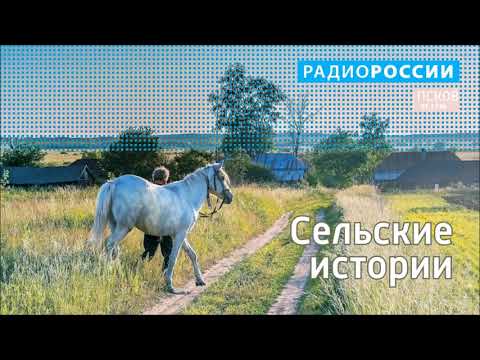 Сельские истории. Писковичи.
