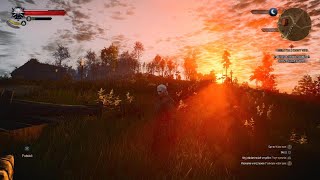 The Witcher 3: Wild Hunt Next Gen - Phantom of The Trade Route Contract - PS5 4K HDR