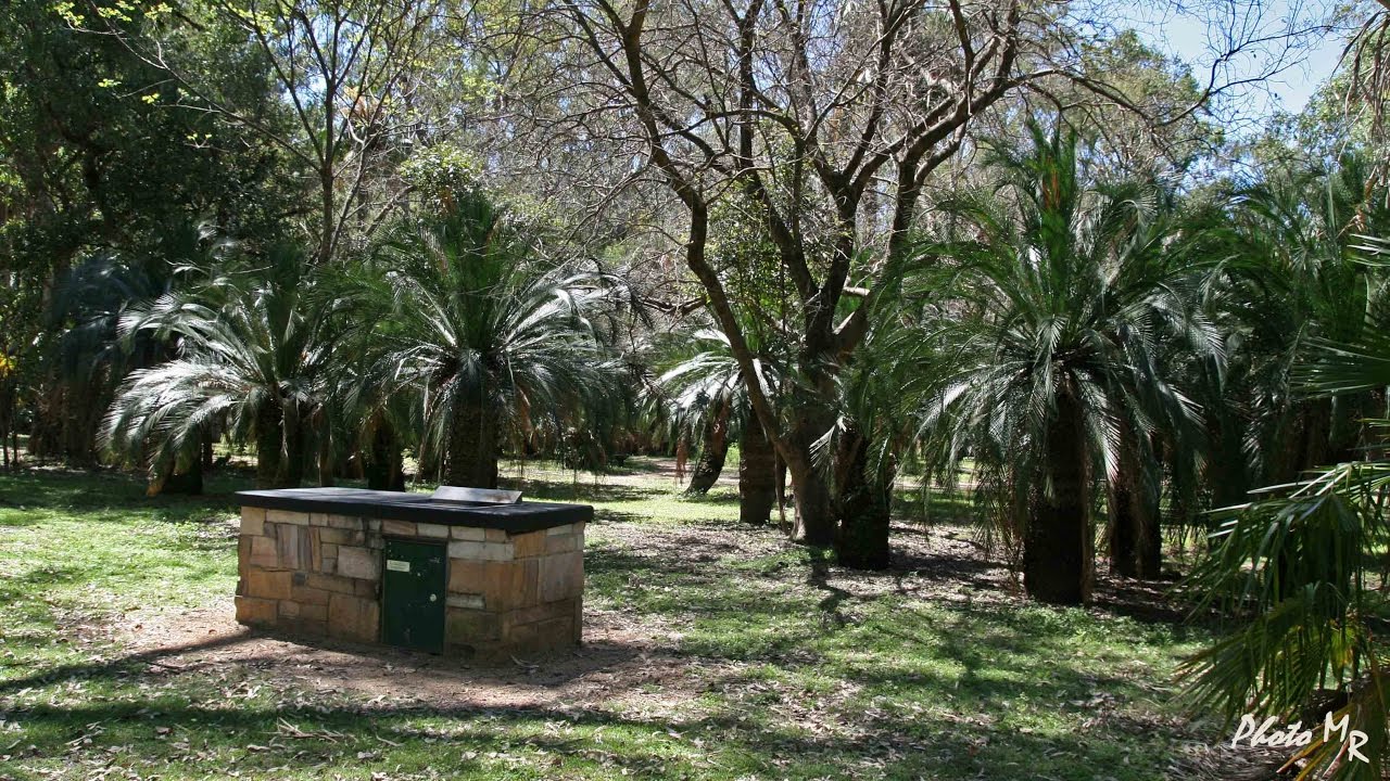 CARNARVON Rock Pool, Mickey Creek Baloon Cave YouTube