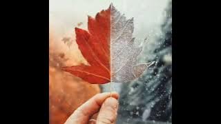 Literasi 1 menit | official song (musik) 