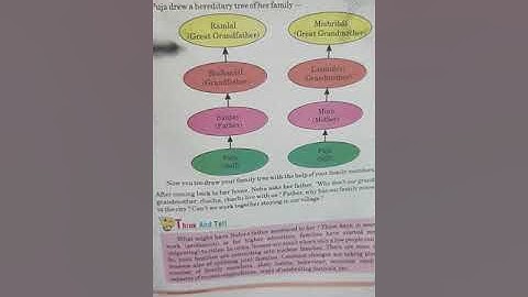 Class-5 l EVS l chapter-1 l understanding relations l part-3