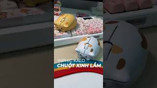"Chuột Mèo Siêu Xinh Inphic KALO – Click Êm, Hợp Nữ Sinh #shorts