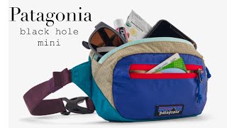 Patagonia Ultralight Black Hole Mini Hip Pack 1L