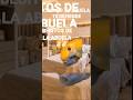 CUANDO TU ABUELA TE DEFIENDE MI VERSION CHEEMS.
