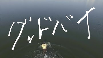 映画『グッドバイ』予告編