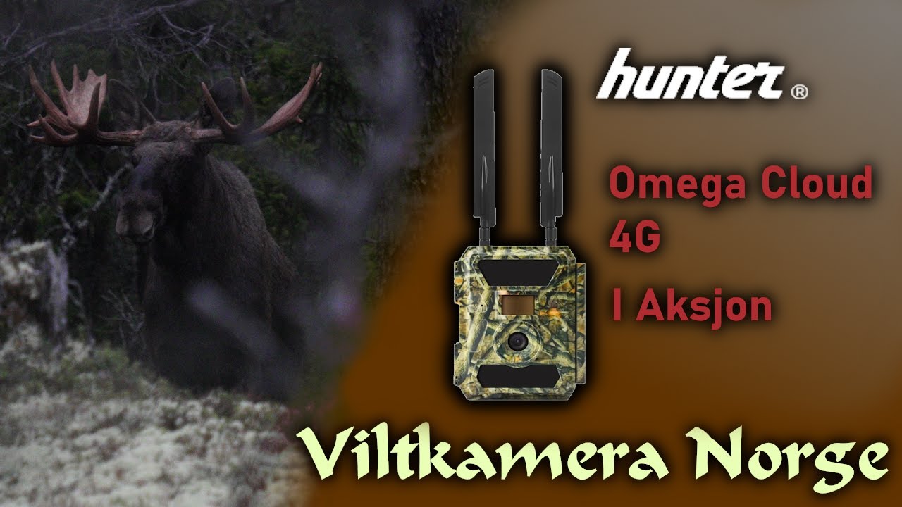 VILTKAMERA I AKSJON | Hunter Omega Cloud 4G