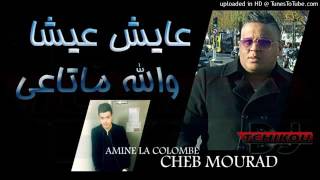 Cheb Mourad 3ayech 3icha wlh Mata3i   شاب مراد عايش عيشا والله ماتاعي