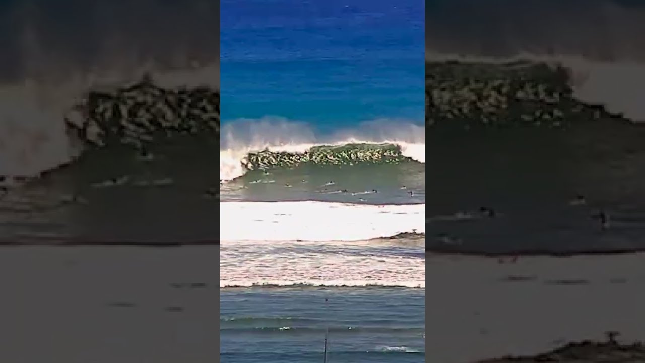 Clips